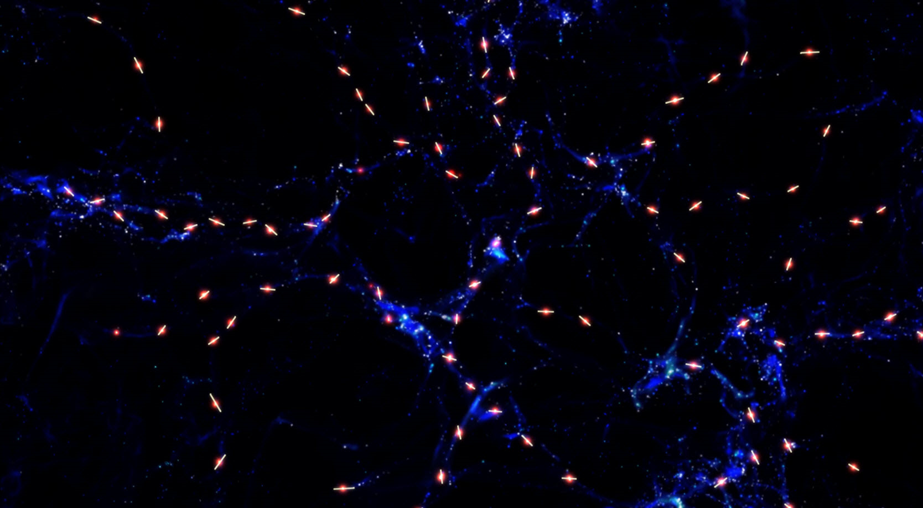 plasma filaments 3